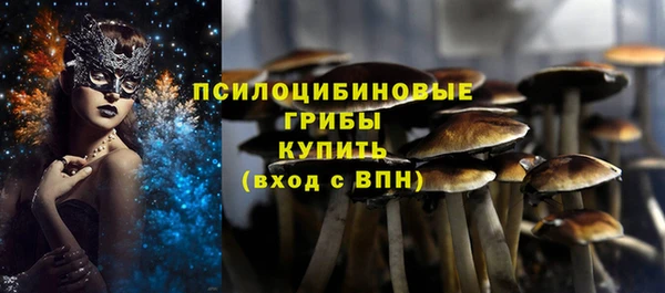 прущий лед Алексеевка