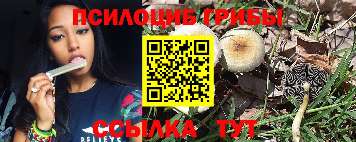 Муравленко  Псилоцибиновые грибы Psilocybe  Галлюциногенные грибы Cubensis  Вход с VPN 